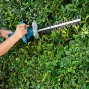 UK Gardeners Beware: Breaking This Little-Known Law Could Cost You £20,000