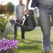 UK Gardeners Beware: This Common Mistake Could Ruin Your Lawn This Summer