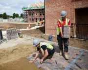 UK Government Accused of Pressuring Nature Groups to Back Controversial Planning Bill