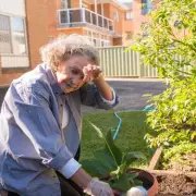 UK Heatwaves Could Kill More Than Covid, Warns Top Scientist