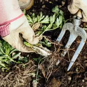 UK Homes Warned Over Common Garden Mistake That Could Cost Thousands