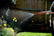 UK Hosepipe Ban: How to Keep Your Garden Thriving During Water Restrictions