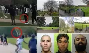 UK Parks Turning Deadly: Rising Crime, Stabbings, and Murders Spark Safety Fears