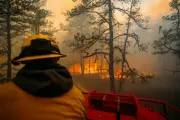 US Faces Critical Firefighter Shortage as Wildfires Rage: A Growing Crisis