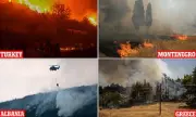 Wildfires Ravage Southern Europe: Tourists Flee as Flames Engulf Holiday Hotspots in Turkey and Greece