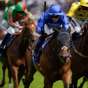 William Hill's Free £2 Shop Bet Offer: How to Claim Yours Today