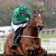 Willie Mullins Drops Bombshell: Lord Windermere Set for Cheltenham Retirement