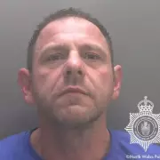 XL Bully Owner Stabbed in Horrific Dog Attack in Westminster