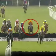 Young Jockey Hospitalised After Terrifying Fall at Newton Abbot Racecourse