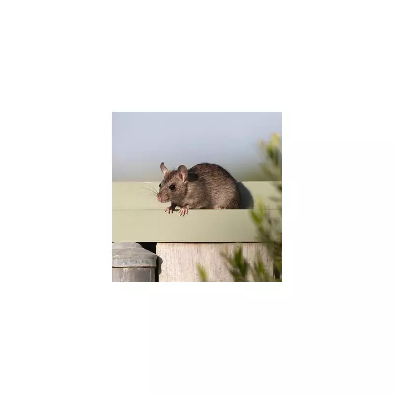 10 Effective Ways to Keep Rats Out of Your Garden Naturally