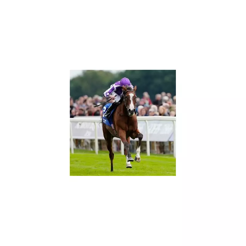 Aidan O'Brien's Minnie Hauk Ruled Out of Betfred Oaks in Epsom Blow | Racing News