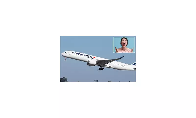 Air France Pilot Humiliates Passenger Over Intercom During Medical Emergency – Shocking Details Revealed