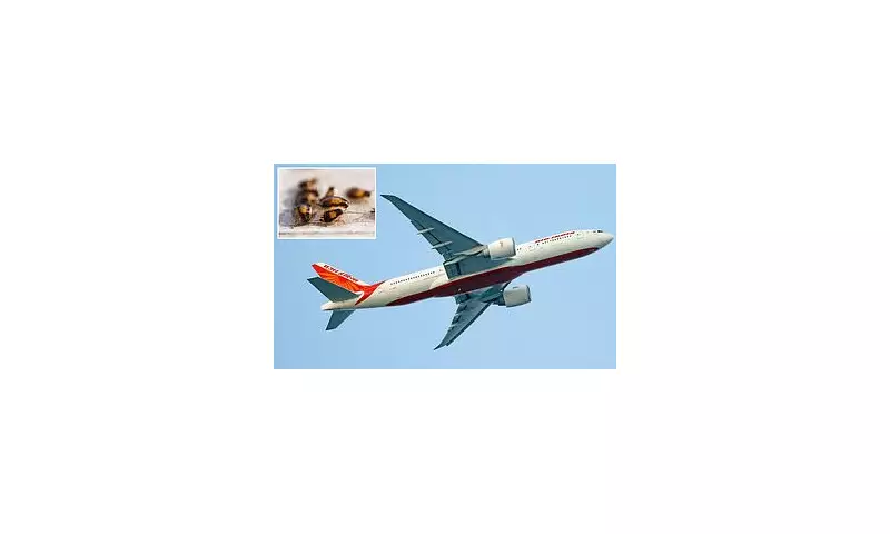 Air India Flight Grounded in San Francisco After Cockroach Infestation Sparks Passenger Outrage