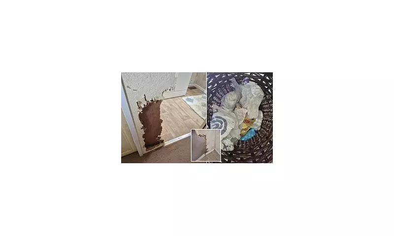 Airbnb Guest's Dog Chews Through Host's Wall in Shocking Act of Pet Damage | UK Holiday Let Horror