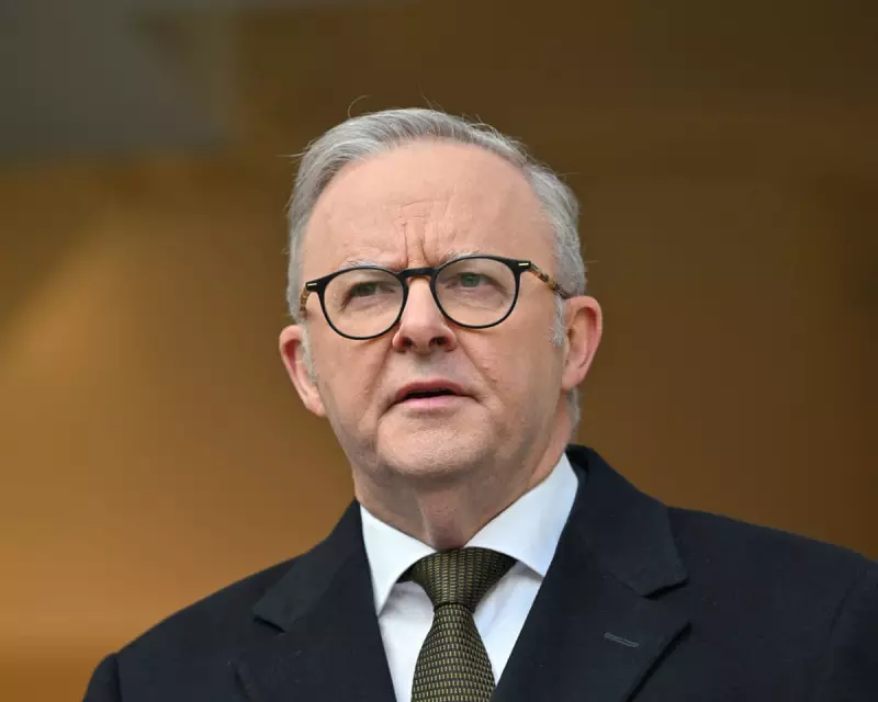 Albanese Accuses Netanyahu of Gaza 'Denial' as Humanitarian Crisis Deepens