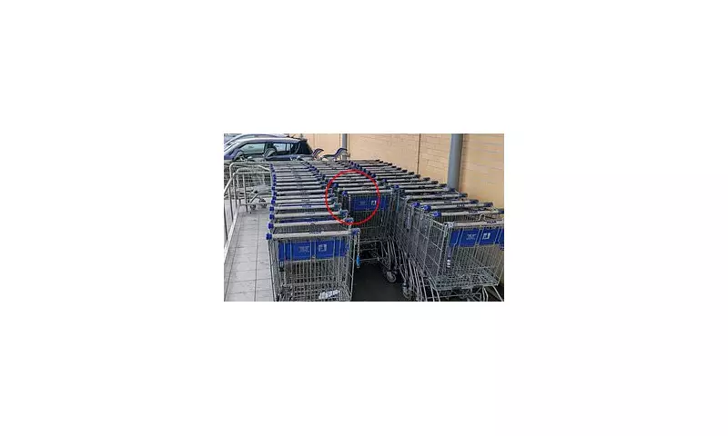 Aldi Trolley Fury: Shopper's Rant Over 'Dangerous' Design Flaw Goes Viral