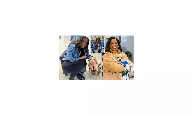 Alison Hammond Axed from For the Love of Dogs | ITV Makes Shock Decision