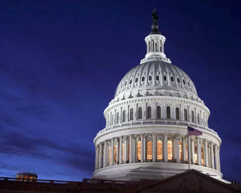 America Under Trump: A Bully’s Playground or a Nation of Hope?