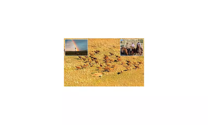 America's Largest Ranch in New Mexico Hits the Market for a Whopping £400 Million