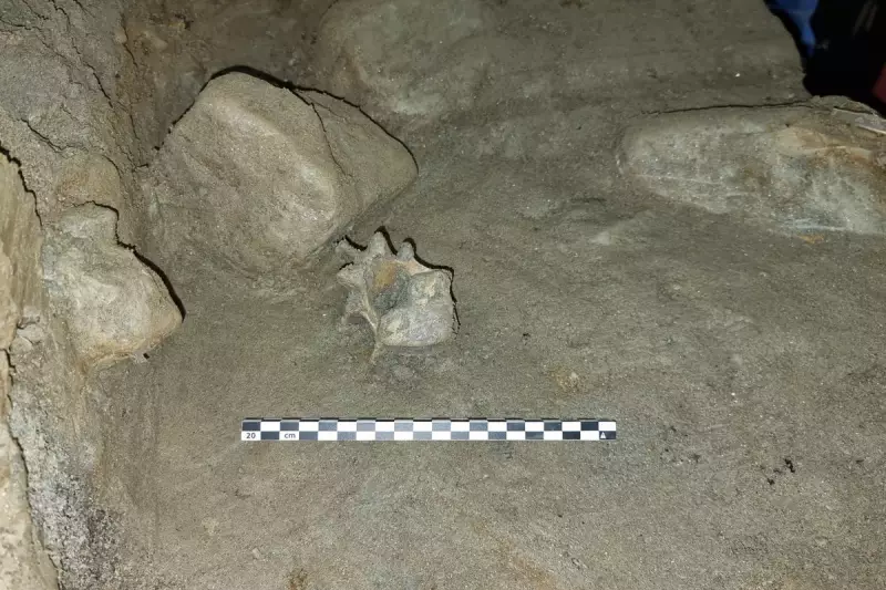 Ancient Reindeer Hunting Traps Unearthed in Norway: A Glimpse into Arctic Survival