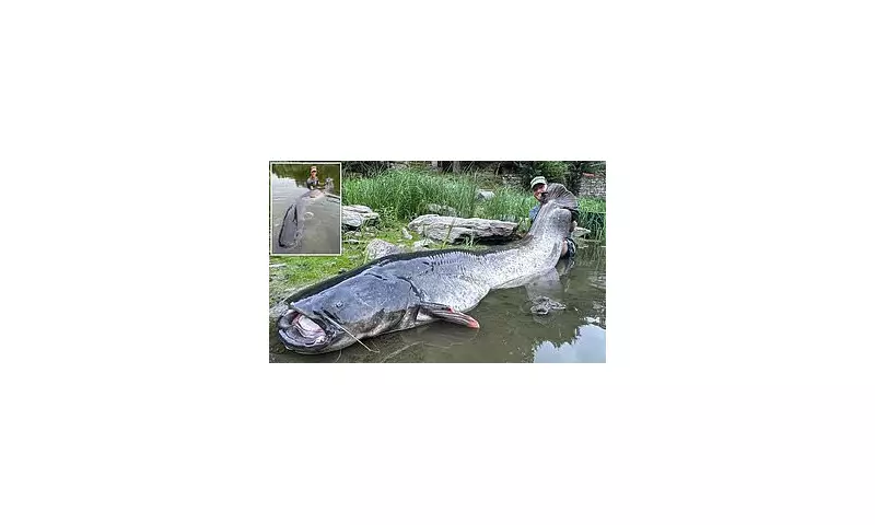 Angler's Epic 50-Minute Battle to Land Monster 9ft Catfish in UK Waters