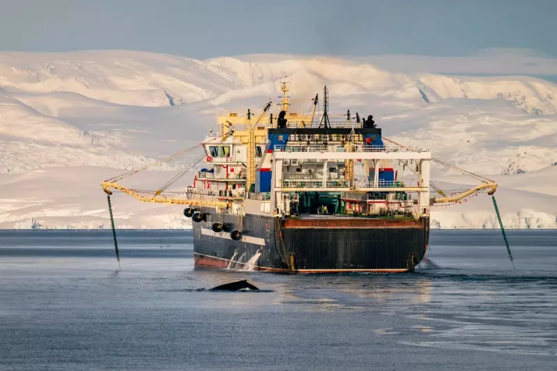 Antarctica's Rapid Ice Melt Could Submerge Major Global Cities, Study Warns