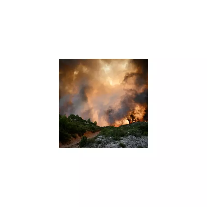 Apocalyptic Wildfire Images Show Europe Burning: A Harrowing Glimpse Into Climate Crisis