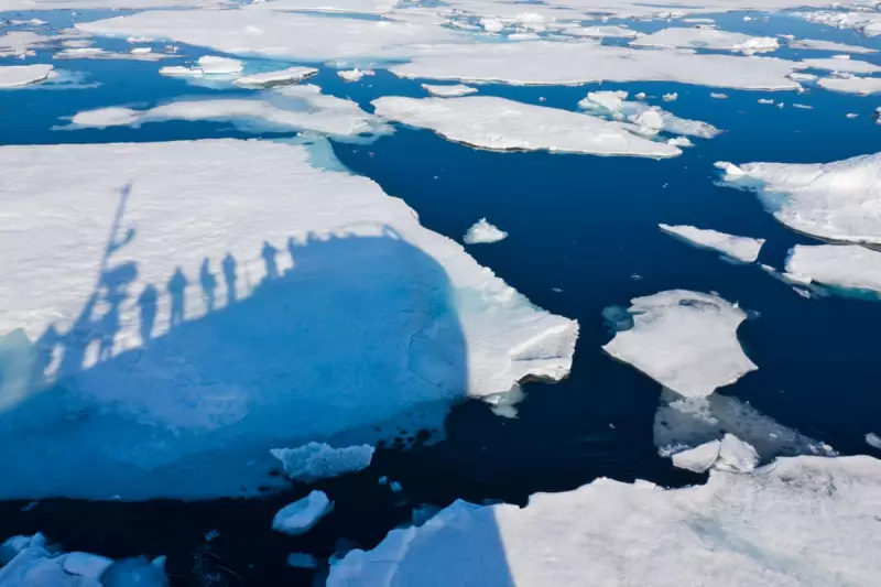 Arctic Sea Ice Defies Predictions: Scientists Stunned by Unexpected Slowdown in Melting