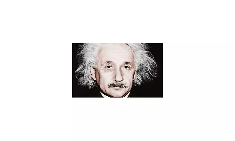 Are You an Introvert Like Einstein? 'The Gift of Not Belonging' Explores the Power of Solitude