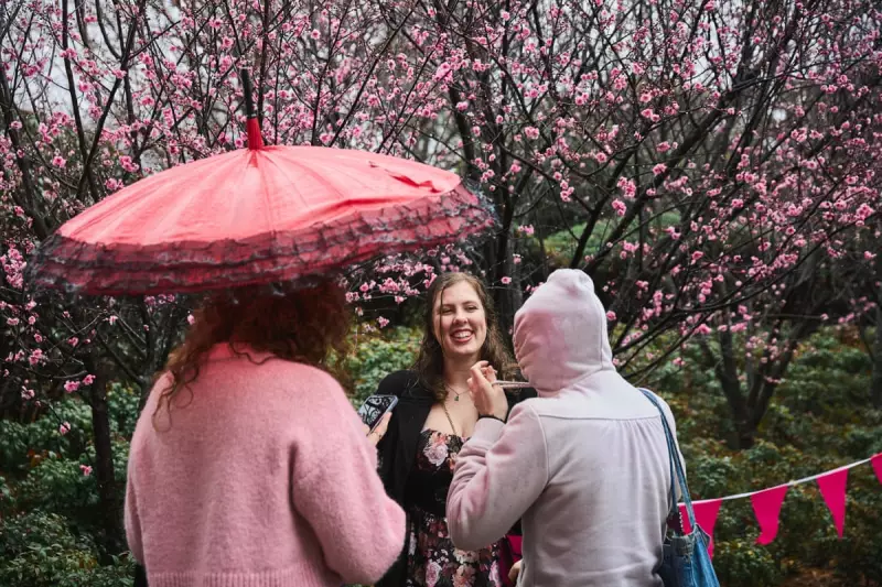 Auburn in Bloom: Sydney's Cherry Blossom Festival 2025 Captivates Visitors | The Guardian