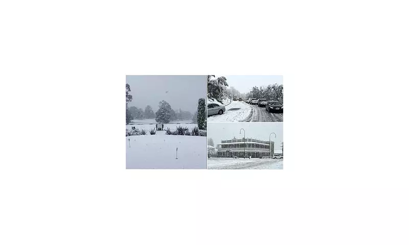 Australia Blanketed by Heaviest Snowfall in Decades: Wild Weather Dumps 20 Inches in Some Regions