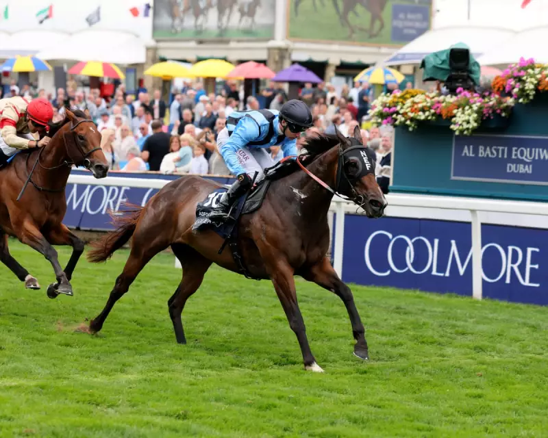 Australian Speedster Asfoora Blitzes Nunthorpe Stakes, Targets Irish Glory