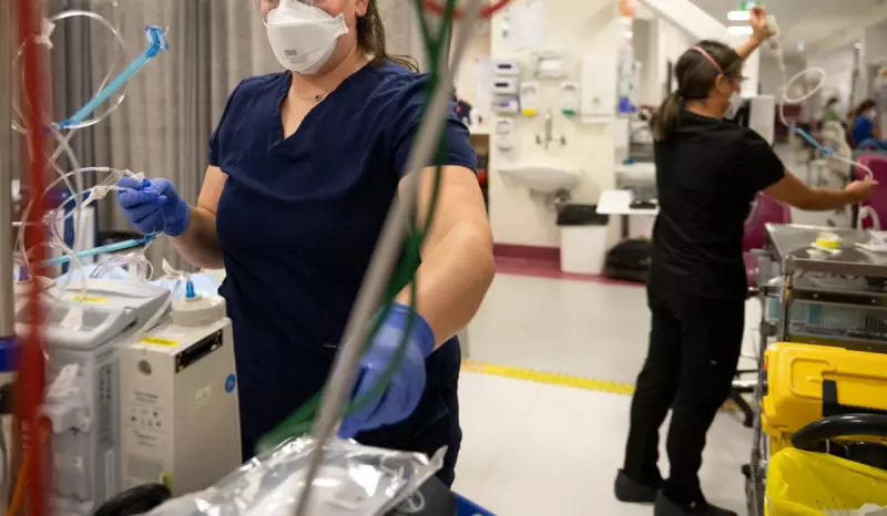 Australia's Economic Blind Spot: Why Women Must Be at the Heart of Productivity Reform