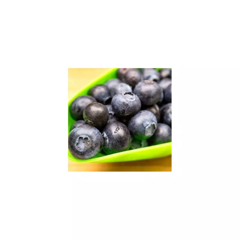 Avoid This Common Blueberry Storage Mistake to Keep Them Fresh Longer