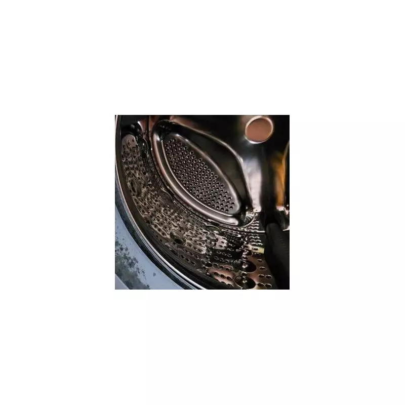 Banish That Damp Smell! The Ultimate Guide to Cleaning Your Washing Machine