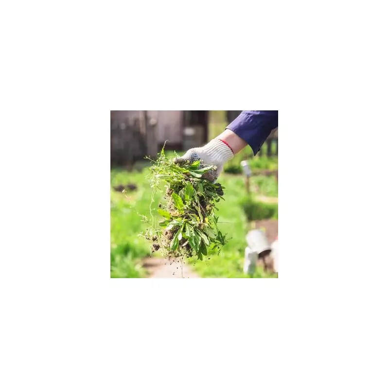 Banish Weeds for Good: 7 Expert Hacks for a Pristine Garden Without Harsh Chemicals