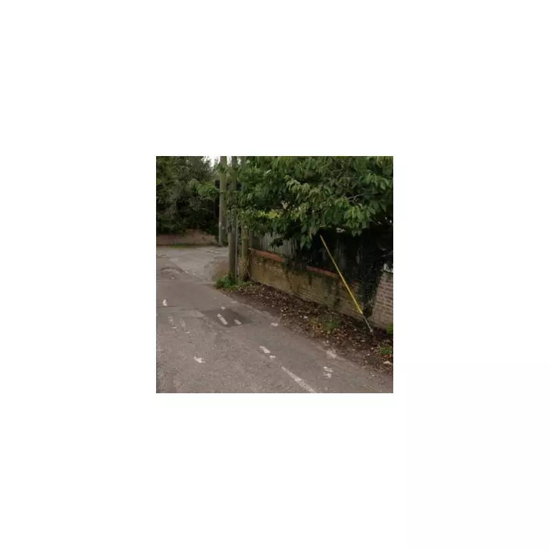 Bare-legged Man Arrested After Wild Police Chase Through Westminster