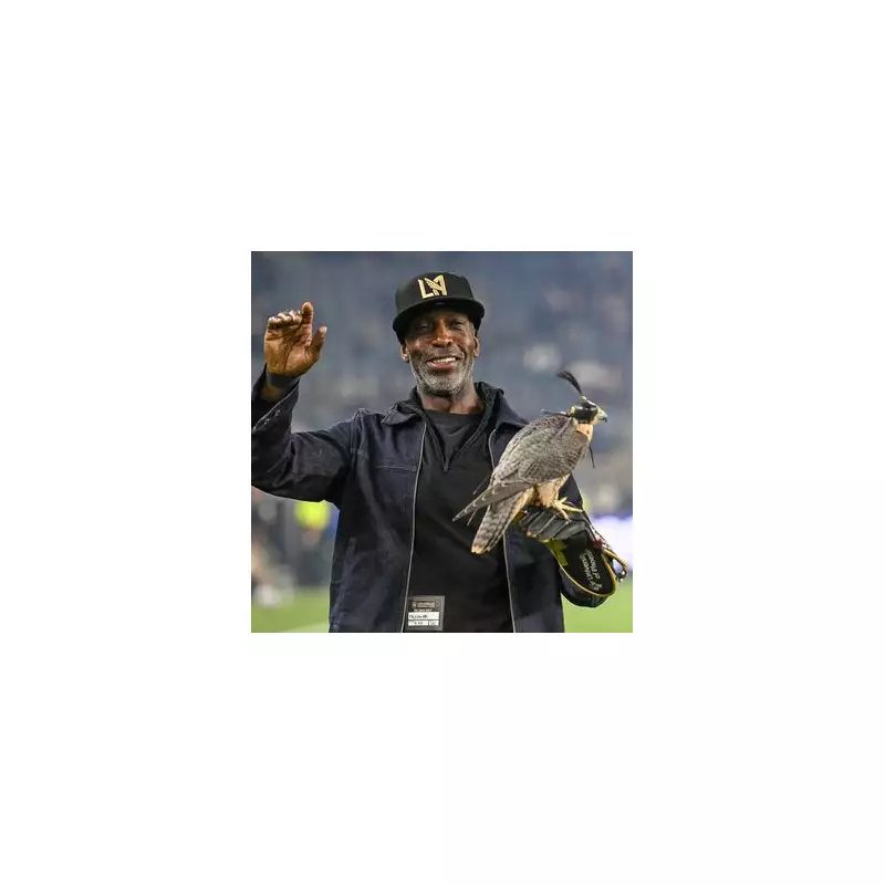 BBC Presenter & Olympic Star Vanish from Airwaves: Inside the Mystery of the Sudden Disappearance