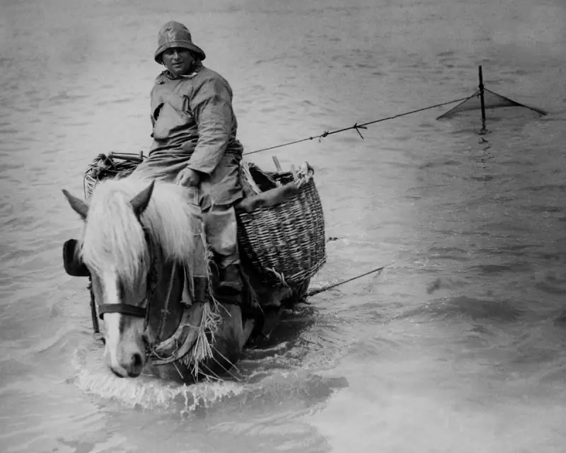 Benjamin Wood's 'Seascraper': A Masterful Tale of Art, Memory & Redemption | Book Review