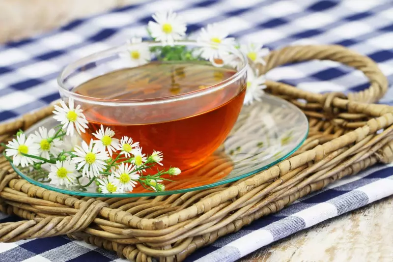 Beyond a Cuppa: The Remarkable Science Behind Chamomile Tea's Health Benefits Revealed
