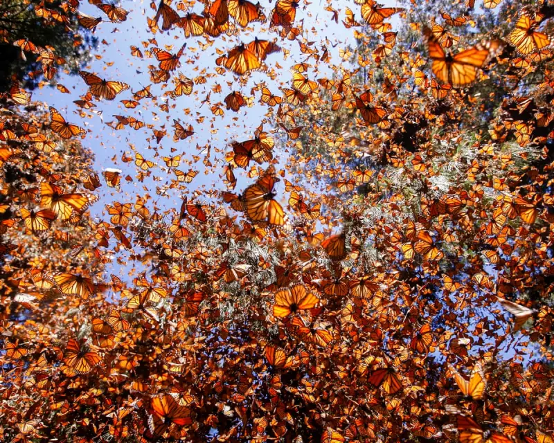 Beyond the Doom: Discover the Hope, Joy, and Absurd Marvels of Our Natural World