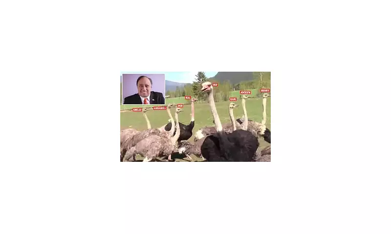Billionaire Grocery Mogul John Catsimatidis Faces Backlash Over Ostrich Slaughter in Canada