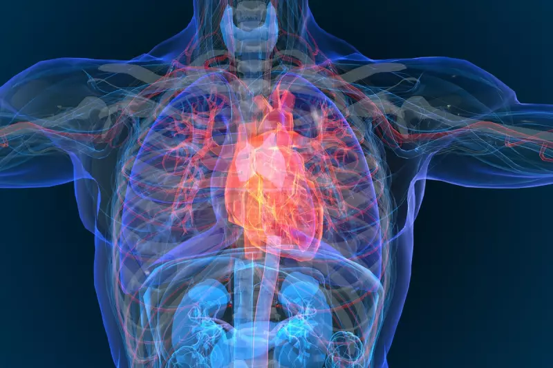 Body Fat, Not BMI, Is Key Heart Failure Risk Factor, Groundbreaking Study Reveals