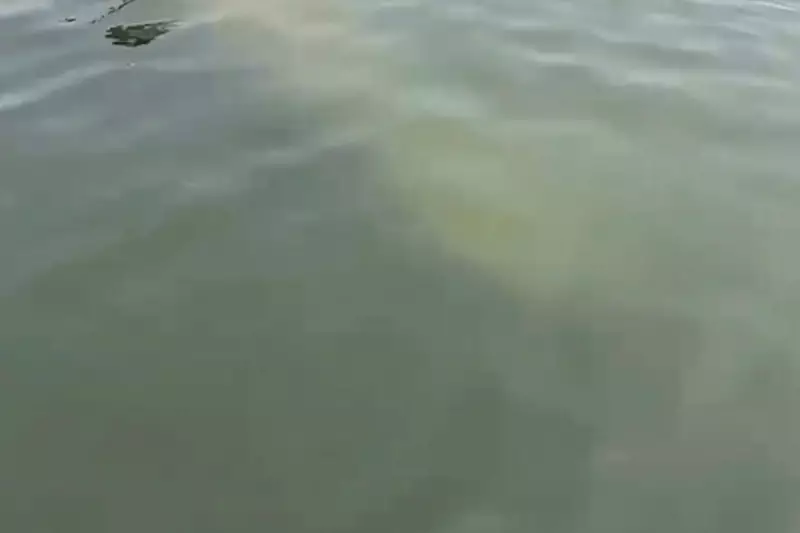 Boston Scientists Unearth Ancient Human Footprints Dating Back 7,000 Years