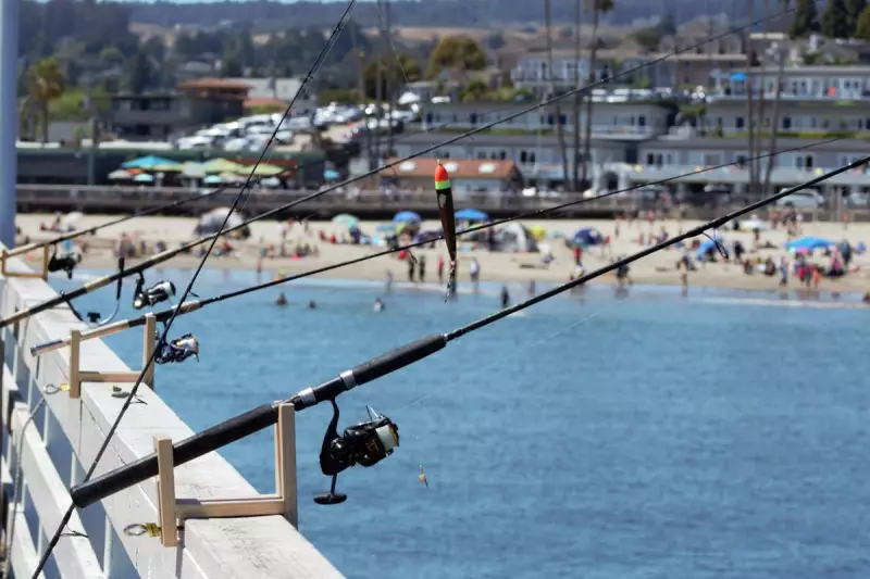 Bradford & Bingley and Cheshire Building Society Merger: A New Chapter for UK Banking?