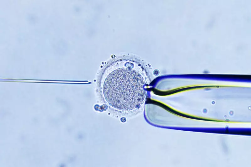 Breakthrough in Embryo Testing: Could AI Predict 'Smart' Offspring?