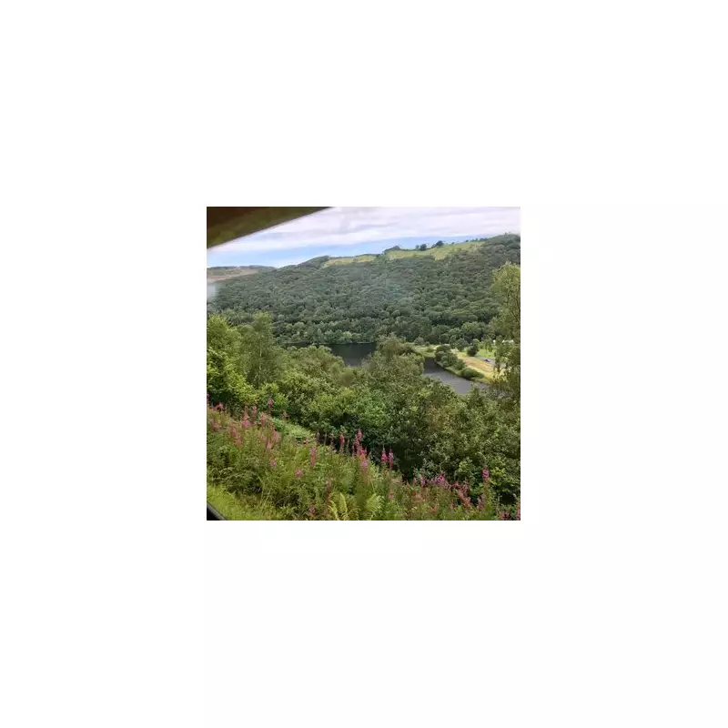 Breathtaking Welsh Railway Journey Named Among World's Best – Must-See Scenic Route