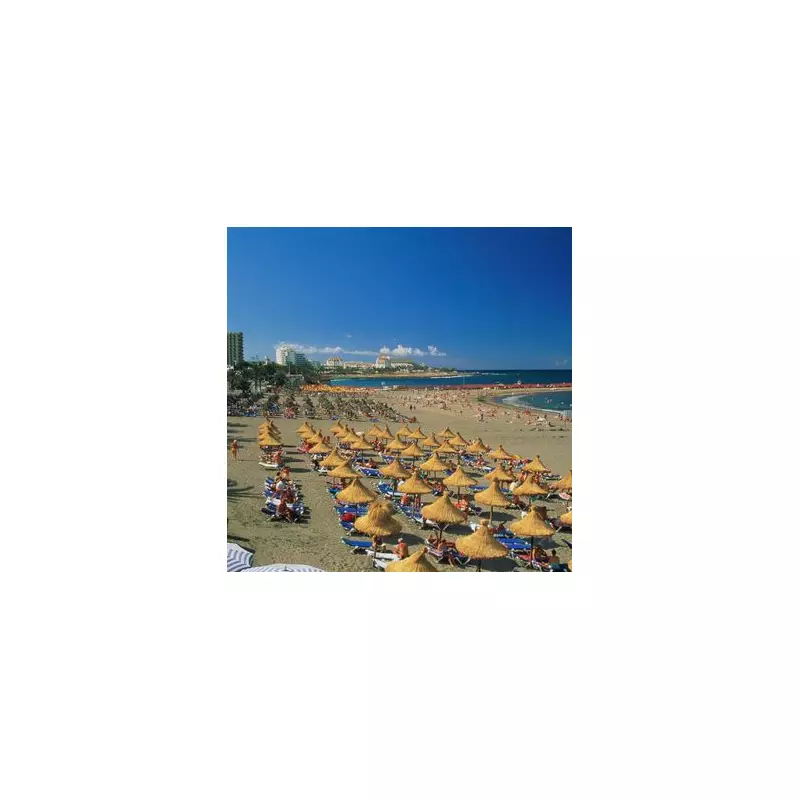 British Teen, 16, Arrested Over Alleged Attempted Car Theft in Spain