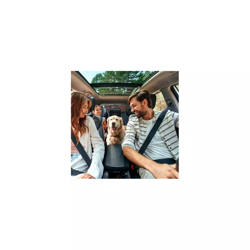 Brits Refuse to Holiday Without Their Furry Friends: Survey Reveals Pet Travel Trends