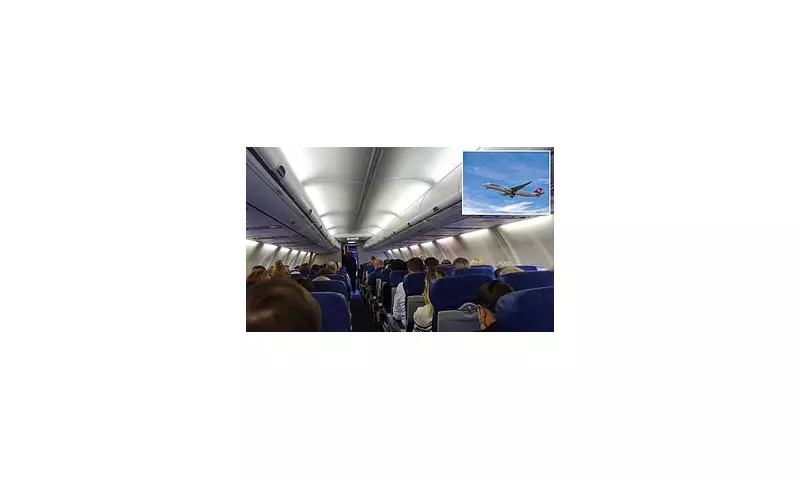 Businessman Jailed for Heinous Mid-Air Assault on Sleeping Passenger | UK Court Sentencing